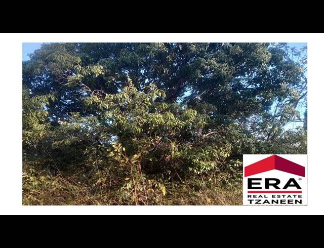 FARM FOR SALE IN ARBOR PARK